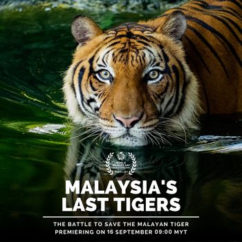 Malaysia’s Last Tiger